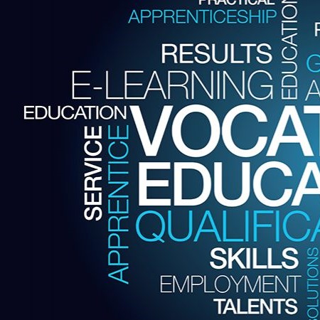 Skills for the Future: Vocational Training Impact